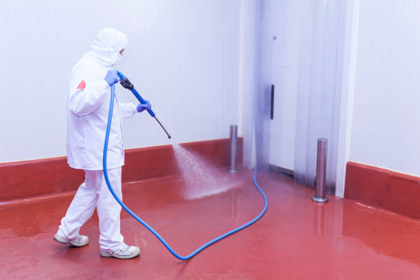 Best Animal Enclosure Cleaning  in Lyndonville, VT